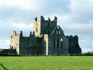 Dunbrody Abbey, Co. Wexford