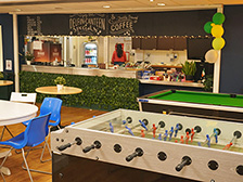 Delfin English School Dublin